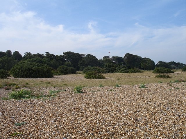 Walmer beach. The low level castle is well concealed by the trees but the flag marks its position. The beach consists of a broad scrubby shingle strip and a series of shingle terraces down to the shoreline. The shingle gets smaller as you approach the sea.