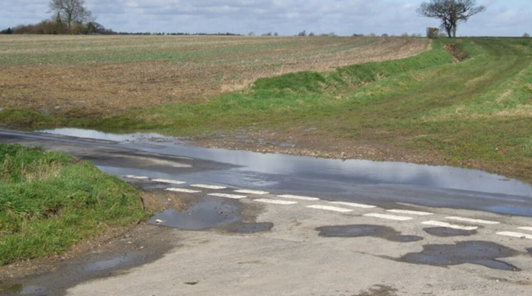 Photo "Shelfanger" by Ian Robertson (CC BY-SA) / Cropped from original