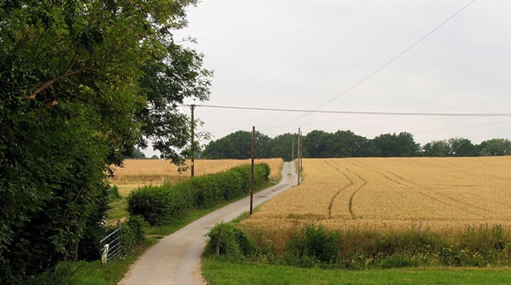 Photo "Kingsclere" by Pam Brophy (CC BY-SA) / Cropped from original