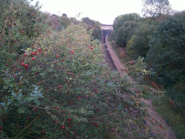 Foto “Aldington” tomada por Jennifer Luther Thomas (CC BY-SA); recorte de la original