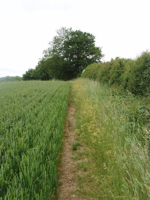 Billede "Cholesbury-cum-St Leonards" af David Hawgood (CC BY-SA) / beskåret fra det originale billede