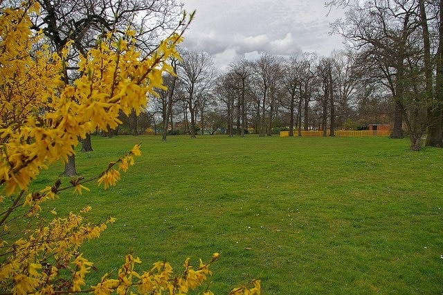 Dilkes Park Ockendon Looking from the Fairham Ave side of the park