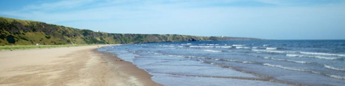 Photo "Northern beach and headland, St. Cyrus The sand area of the beach seems to have expanded since the last Ordnance Survey, since I am standing on beach (not in water) at near high tide." by C Michael Hogan (Creative Commons Attribution-Share Alike 2.0) / Cropped from original