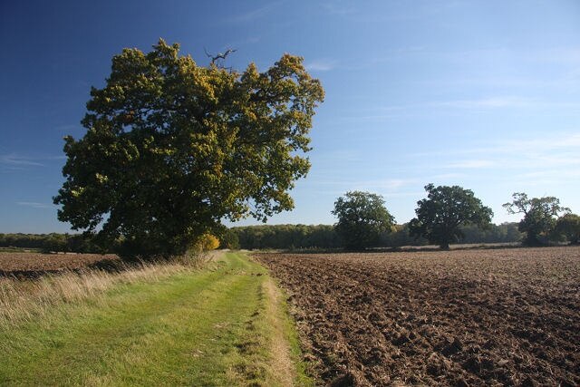 Ảnh "The Saxhams" của Bob Jones (CC BY-SA) / Cắt từ ảnh gốc