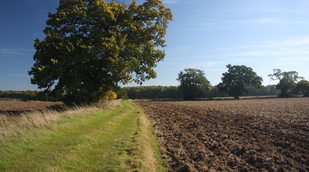 Ảnh "The Saxhams" của Bob Jones (CC BY-SA) / Cắt từ ảnh gốc