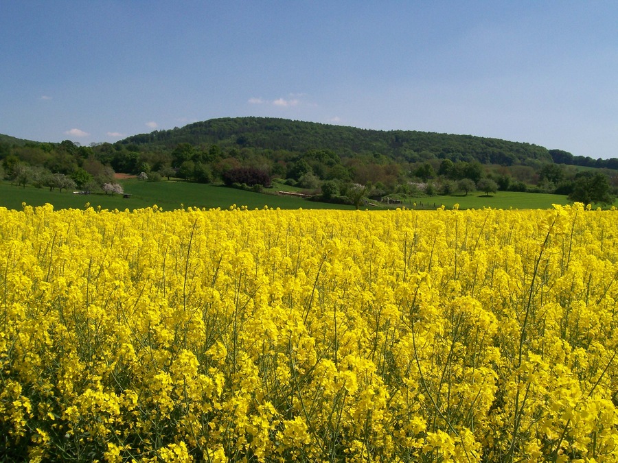 63755 Alzenau, Germany