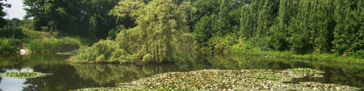 Photo "Teich" by hh oldman (Creative Commons Attribution 3.0) / Cropped from original