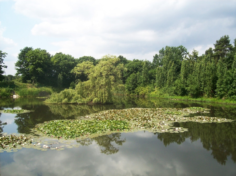 Teich