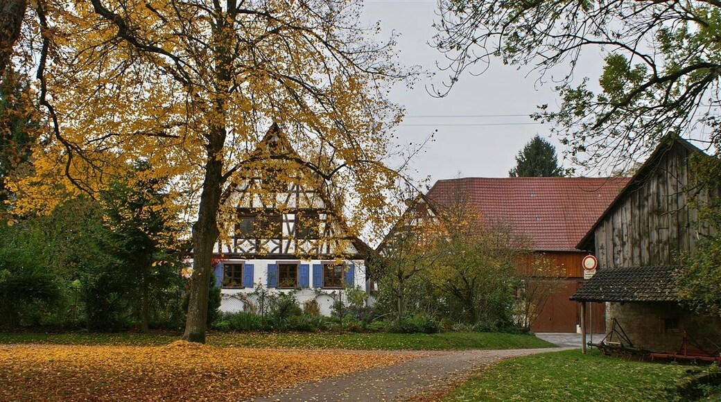 ภาพ "เคอนิกส์บาค" โดย Augenstein (CC BY-SA) / ตัดภาพจากขนาดต้นฉบับ