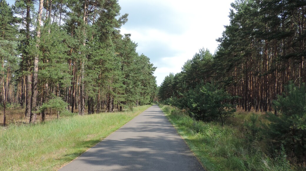 Photo "Rietzneuendorf-Staakow" by Löwe 48 (CC BY-SA) / Cropped from original