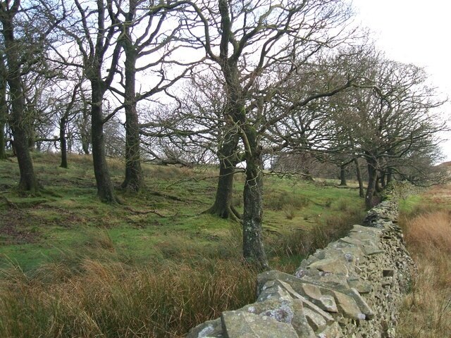 Foto „Docker“ von David Brown (CC BY-SA)/zugeschnittenes Original