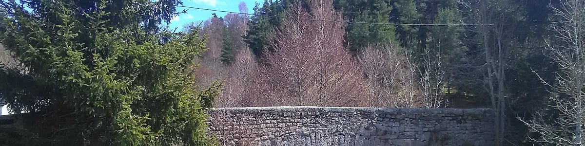 Photo "Ancien pont de la route départementale 4 sur la rivière Limagnole, commune de Saint-Alban-sur-Limagnole (Lozère)." by Sancta floris (Creative Commons Attribution-Share Alike 4.0) / Cropped from original