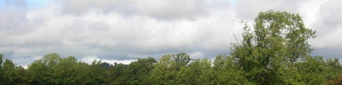 Photo "Horses on the road to Farnham. Three horses in a field between the school and the campsite." by DS Pugh (Creative Commons Attribution-Share Alike 2.0) / Cropped from original