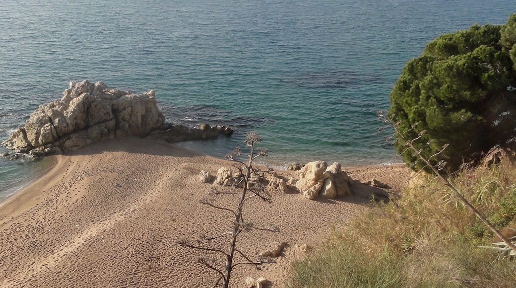 Foto "Spiaggia di Caldes d'Estrac" di Isidro Jabato (page does not exist) (CC BY-SA) / Ritaglio dell’originale