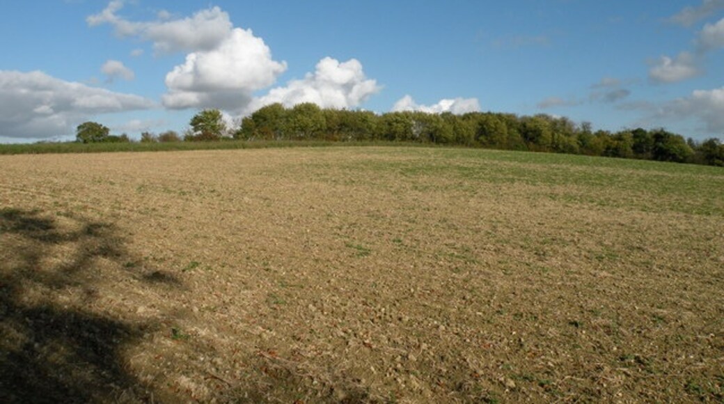 Kuva ”Little Abington” käyttäjältä Keith Edkins (CC BY-SA) / rajattu alkuperäisestä kuvasta