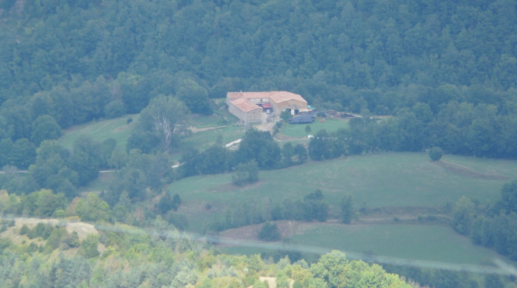 Photo "Pardines" by Pere prlpz (CC BY-SA) / Cropped from original