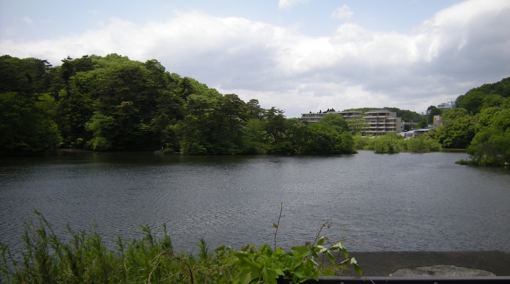 宮城県仙台市の水の森公園の丸太沢堤。堤頂から中心部の西に向いて撮影。File:MarutazawaDike-fromCrest1.jpgの左側。
