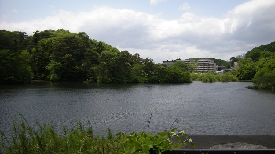 Photo "宮城県仙台市の水の森公園の丸太沢堤。堤頂から中心部の西に向いて撮影。File:MarutazawaDike-fromCrest1.jpgの左側。" by undefined () / Cropped from original