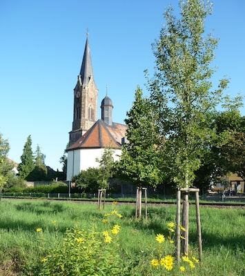 die Lambsheimer Kirchen