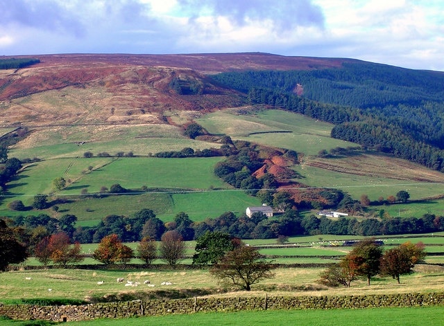 Trennet and the Cleveland Hills. Distant views of the moors of Bilsdale.