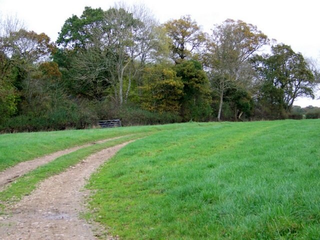 Photo "Lillington" by Trish Steel (CC BY-SA) / Cropped from original