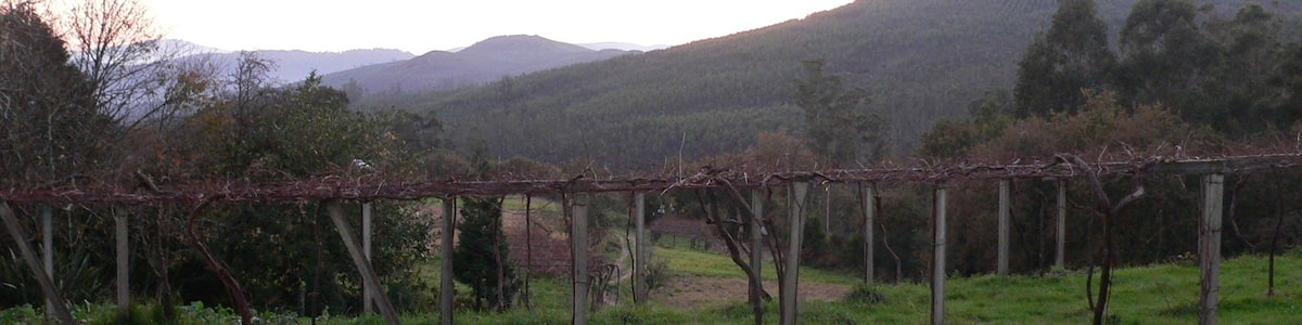 Photo "Paisaxe en Vilar do Abade" by m.dolores paderne sa… (Creative Commons Attribution-Share Alike 3.0) / Cropped from original