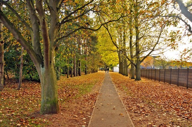 Billede "Cranwell" af Mick Lobb (CC BY-SA) / beskåret fra det originale billede