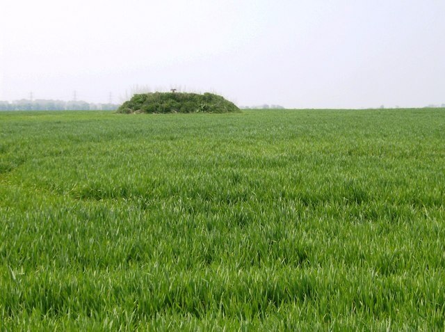 Billede "Hampnett" af Graham Horn (CC BY-SA) / beskåret fra det originale billede