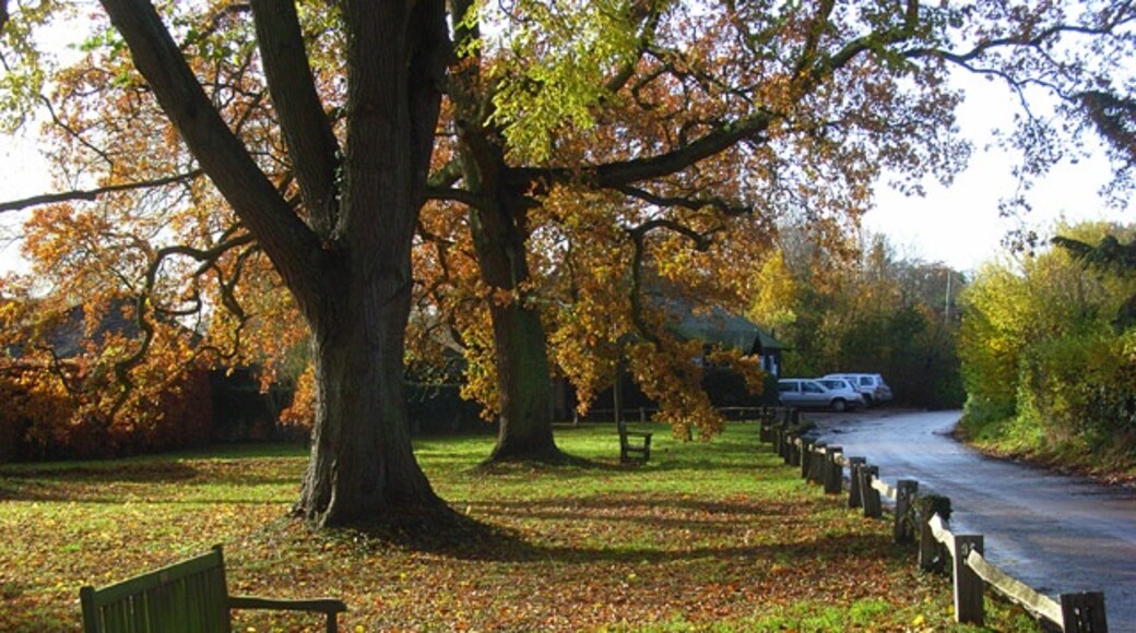 Photo "Fawley" by Andrew Smith (CC BY-SA) / Cropped from original