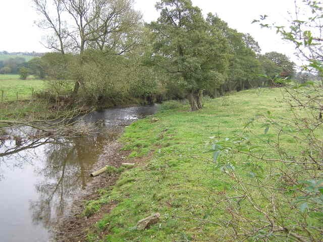 River Blithe scene This meandering mature river appears to be following the 110-115m contour, at least in this vicinity. This view is facing south along the river bank and the water level is not a lot different to the height of the fields.