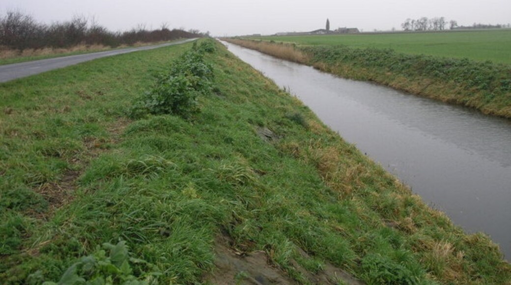 Kuva ”Amber Hill” käyttäjältä Michael Patterson (CC BY-SA) / rajattu alkuperäisestä kuvasta