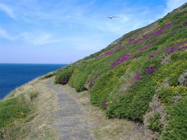 Bradda Head, Isle of Man. There are several footpaths on this headland, some more demanding than others.