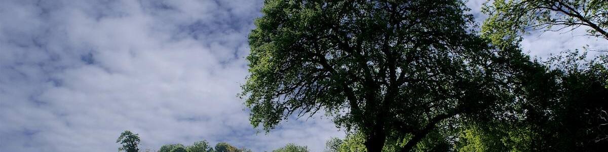 Photo "Feldweg" by Augenstein (Creative Commons Attribution-Share Alike 3.0) / Cropped from original