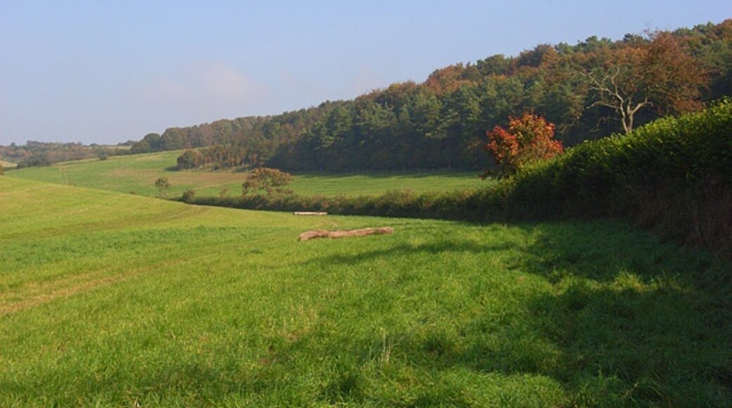 Foto "Buttermere" por Andrew Smith (CC BY-SA) / Recortada de la original