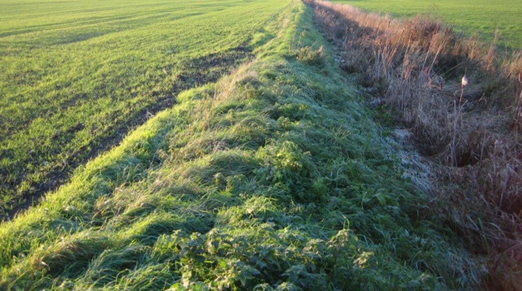 Kuva ”Langley” käyttäjältä Nigel Cox (CC BY-SA) / rajattu alkuperäisestä kuvasta