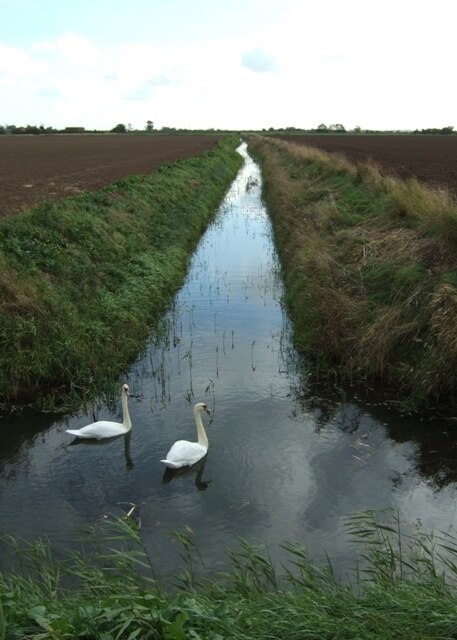 Ảnh "Gayton le Marsh" của Simon Huguet (CC BY-SA) / Cắt từ ảnh gốc