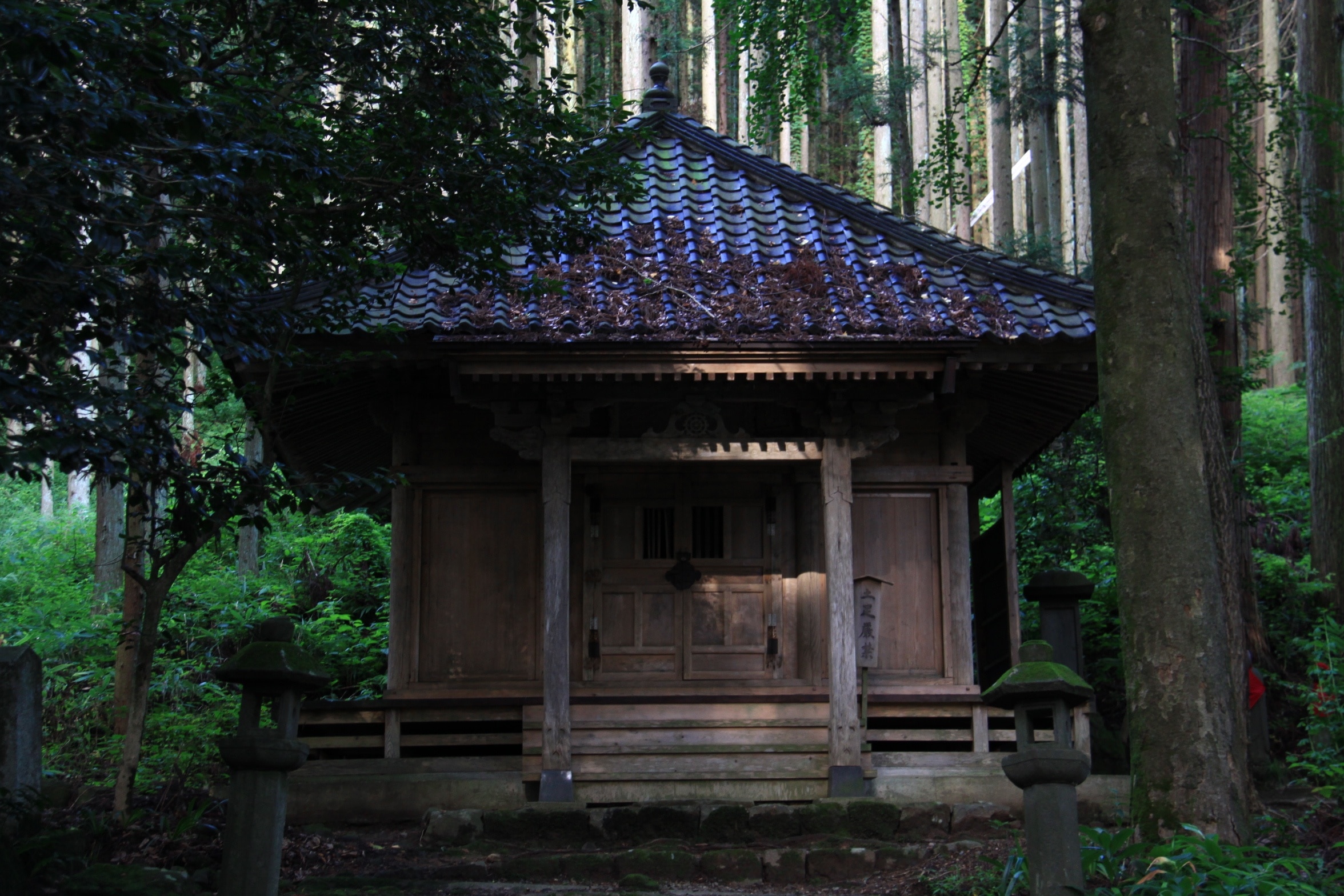 Foto "Sakata" di ChiefHira (CC BY-SA) / Ritaglio dell’originale