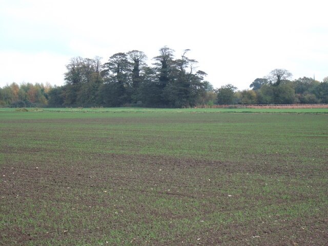 "Leverington"-foto av Richard Humphrey (CC BY-SA) / Urklipp från original