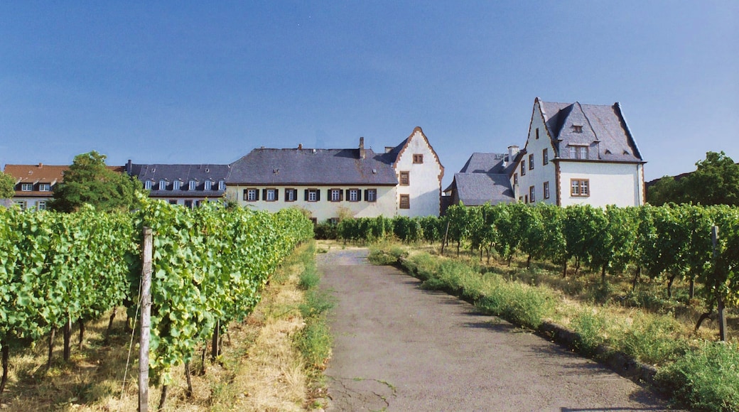Foto „Hochheim am Main“ von Dguendel (page does not exist) (CC BY)/zugeschnittenes Original