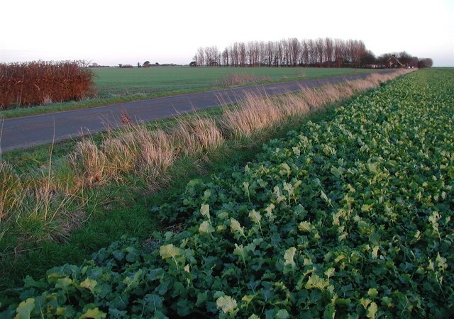 Ảnh "Đảo Sunk" của Paul Glazzard (CC BY-SA) / Cắt từ ảnh gốc