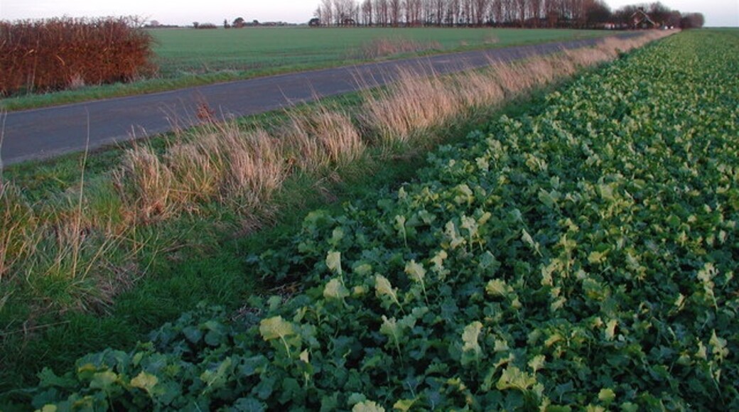 Billede "Sunk Island" af Paul Glazzard (CC BY-SA) / beskåret fra det originale billede
