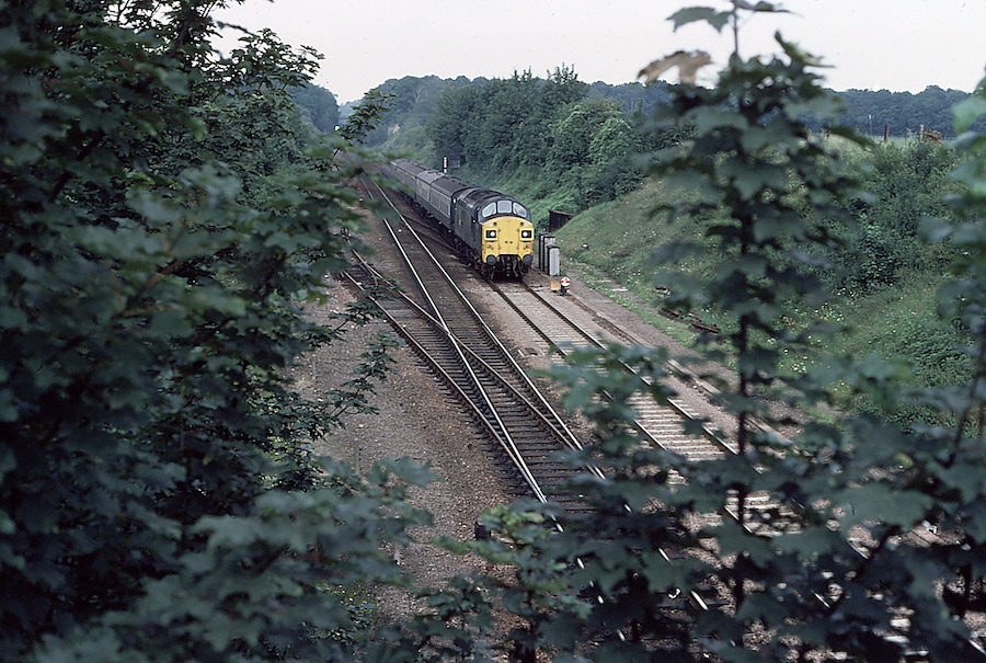 Approaching Audley End, near to Wendens Ambo, Essex, Great Britain. An unidentified Class 37 approaches Audley End with a Cambridge to Liverpool Street service.