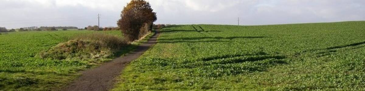 Photo "Hayne Lane from Chapel Hill, Overton. Sitlington CP This leads to Grange Lane at Four Lane Ends." by Humphrey Bolton (Creative Commons Attribution-Share Alike 2.0) / Cropped from original