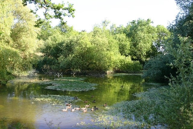 Foto "Bradfield Combust com Stanningfield" de Bob Jones (CC BY-SA) / Recortada do original