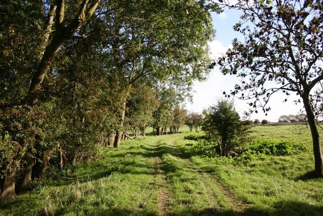 "Irby in the Marsh"-foto av Richard Croft (CC BY-SA) / Urklipp från original