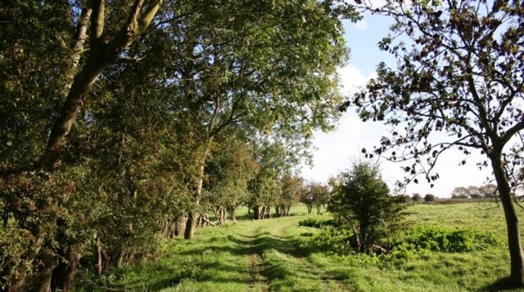 Kuva ”Irby Suolla” käyttäjältä Richard Croft (CC BY-SA) / rajattu alkuperäisestä kuvasta