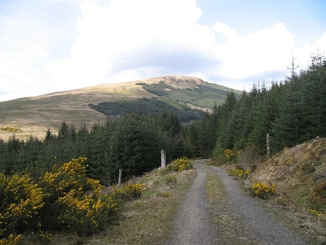 Forest road, Strachur