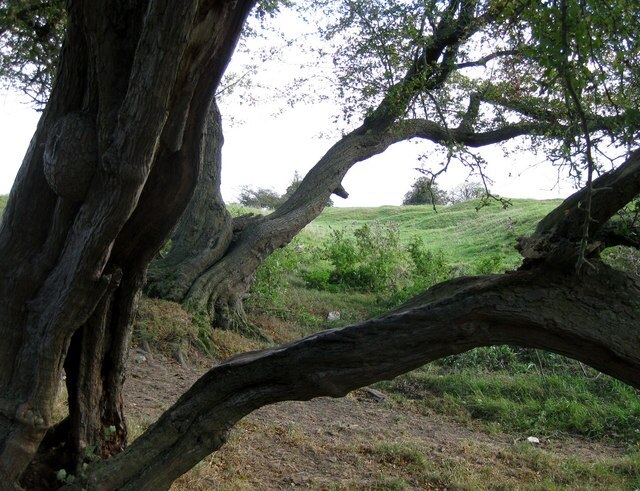 Photo "Hawerby cum Beesby" by Kate Nicol (CC BY-SA) / Cropped from original