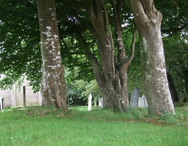 St Wenn Churchyard Corner of the Churchyard where the Coad graves can be found.