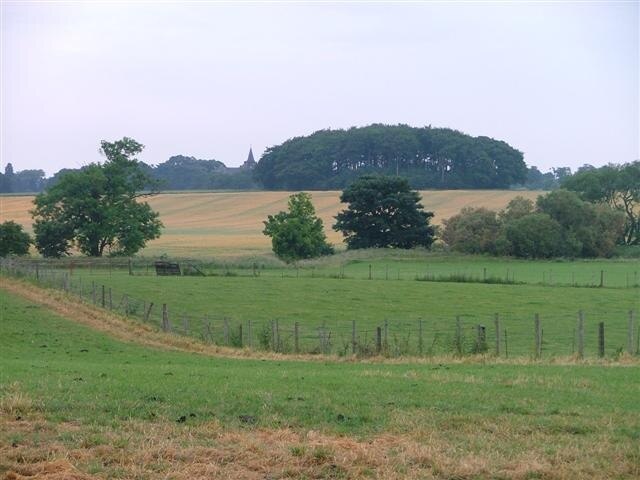 Photo "Newby" by Mick Garratt (CC BY-SA) / Cropped from original